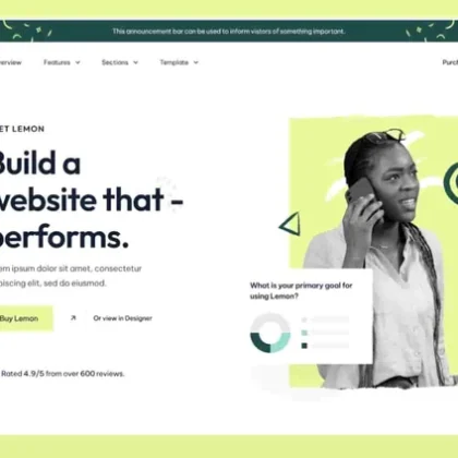 Website designs